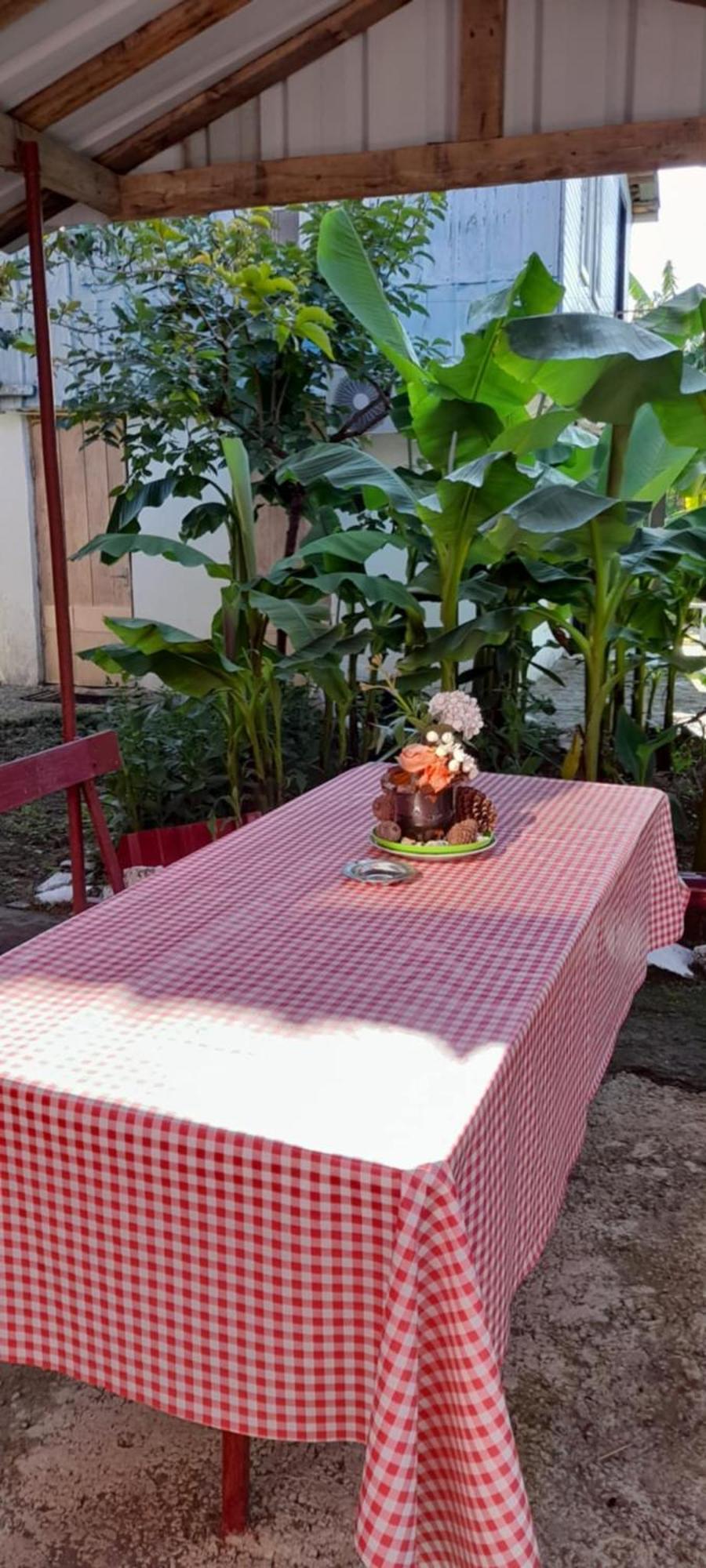 Mano'S Guest House 코불레티 외부 사진